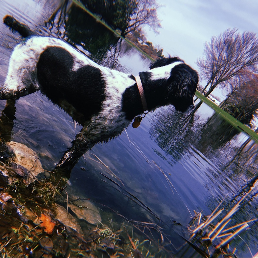 Meet your Posher, Halle